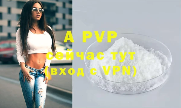 хмурый Ессентукская