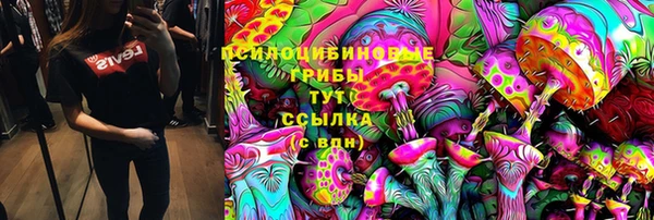 дживик Санкт-Петербург
