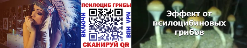 Купить  Семёнов  Галлюциногенные грибы мухоморы 