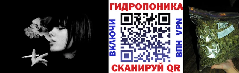 Купить где  Семёнов  Марихуана план 